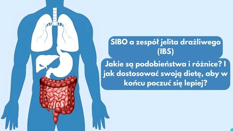 Fundacja Jak Motyl i SIBO – wiedza oraz wsparcie dla pacjentów