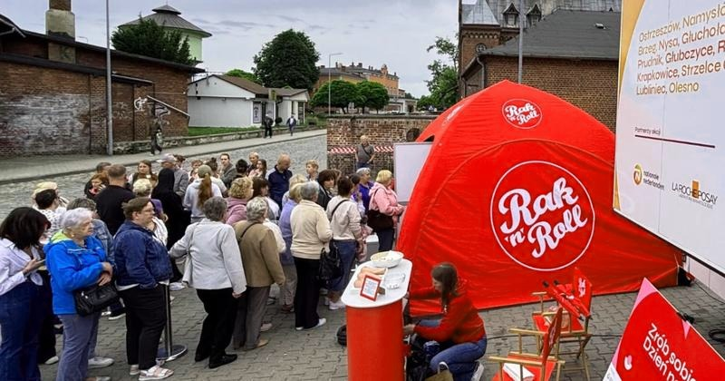 Fundacja Rak’n’Roll – jak oddać włosy na perukę?