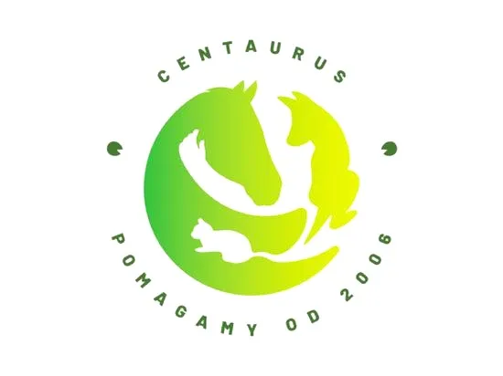Fundacja sezon 2 – na co czekać do premiery?