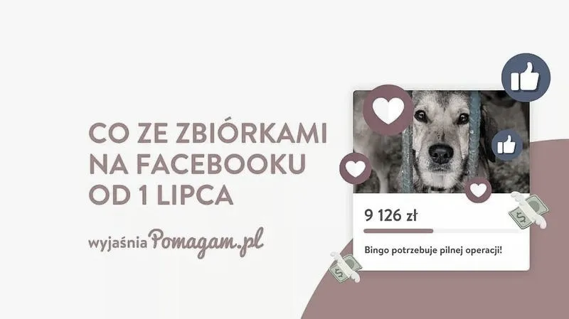 Ile fundacji charytatywnych działa w Polsce? Odkryj ich liczbę i misje