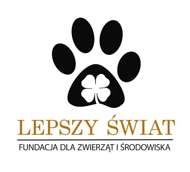 Formalności do założenia fundacji
