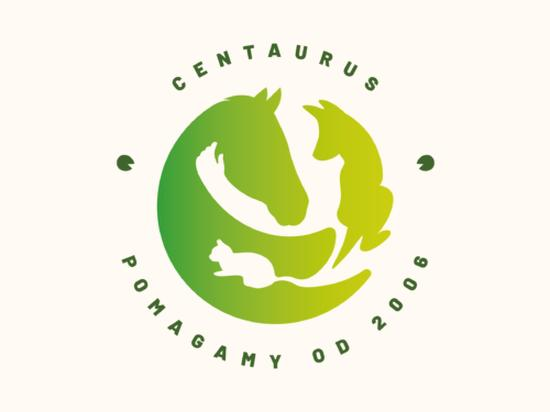 Fundacja i wydatki