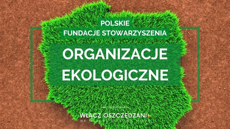Fundacje i stowarzyszenia