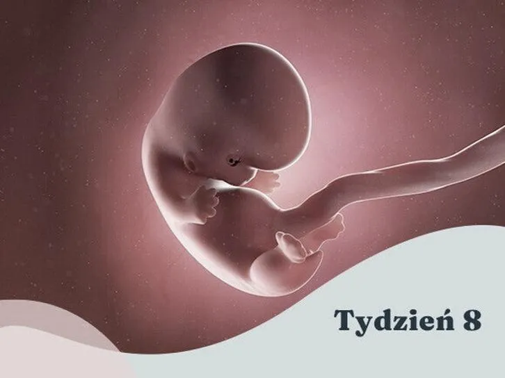 Rozwój poznawczy dziecka