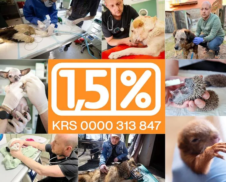 Sprawozdanie fundacji