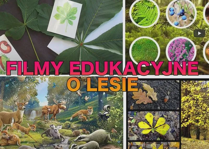 Umiejętności współpracy