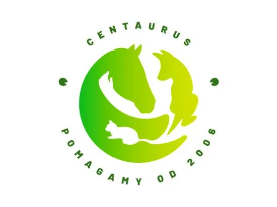 Wydatki fundacji