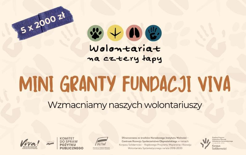Wymagania dla podopiecznych