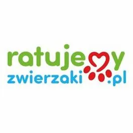 Zakładanie fundacji